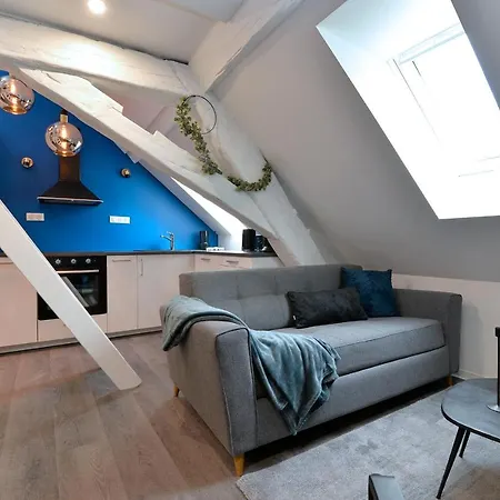 Les Suites Du Centre Historique Colmar Extérieur photo